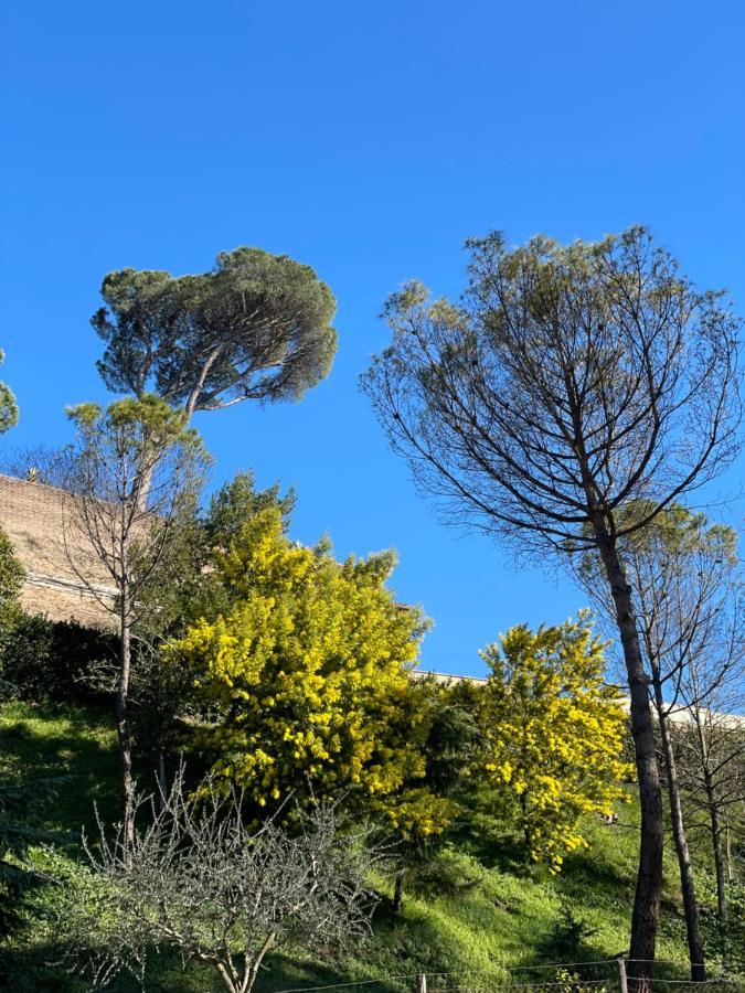 Vatican Green Holidays House Rome Buitenkant foto
